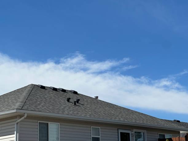 Best Roof Installation  in Mango, FL